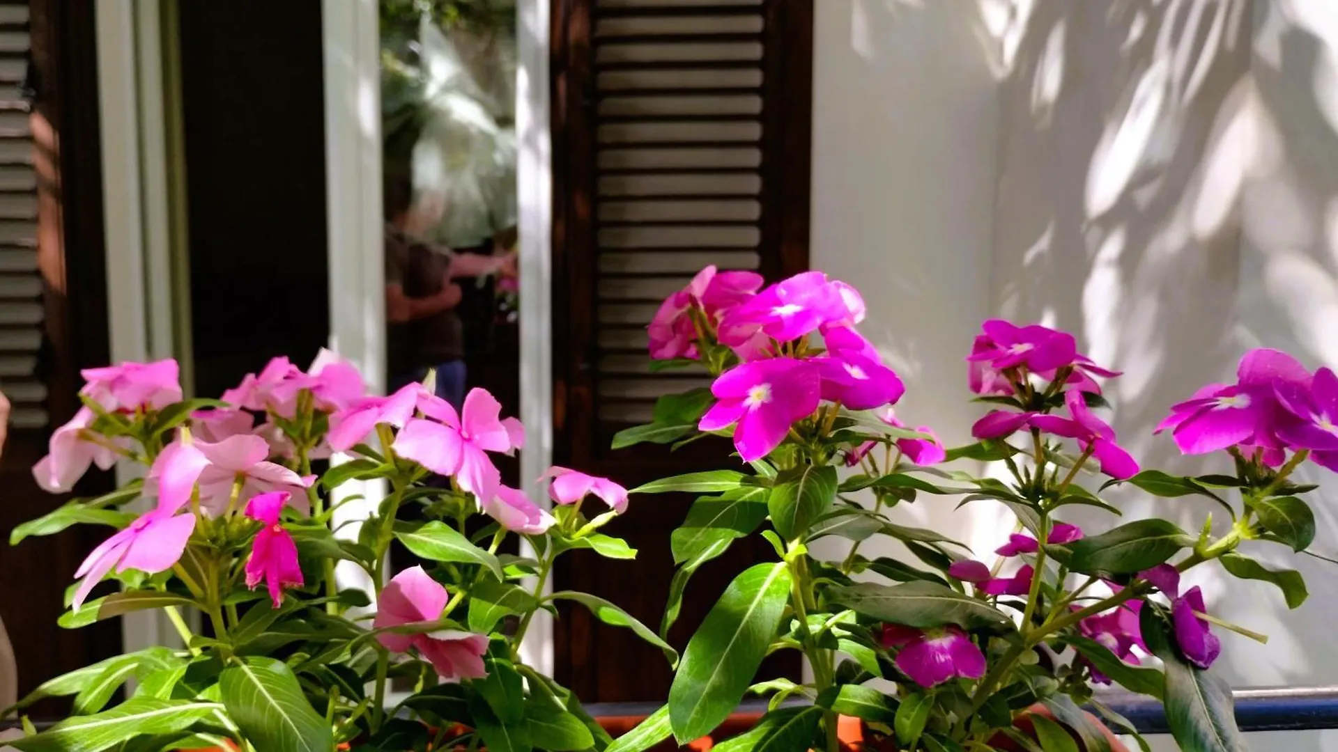 Apartament Domus Vetriera Palermo Włochy