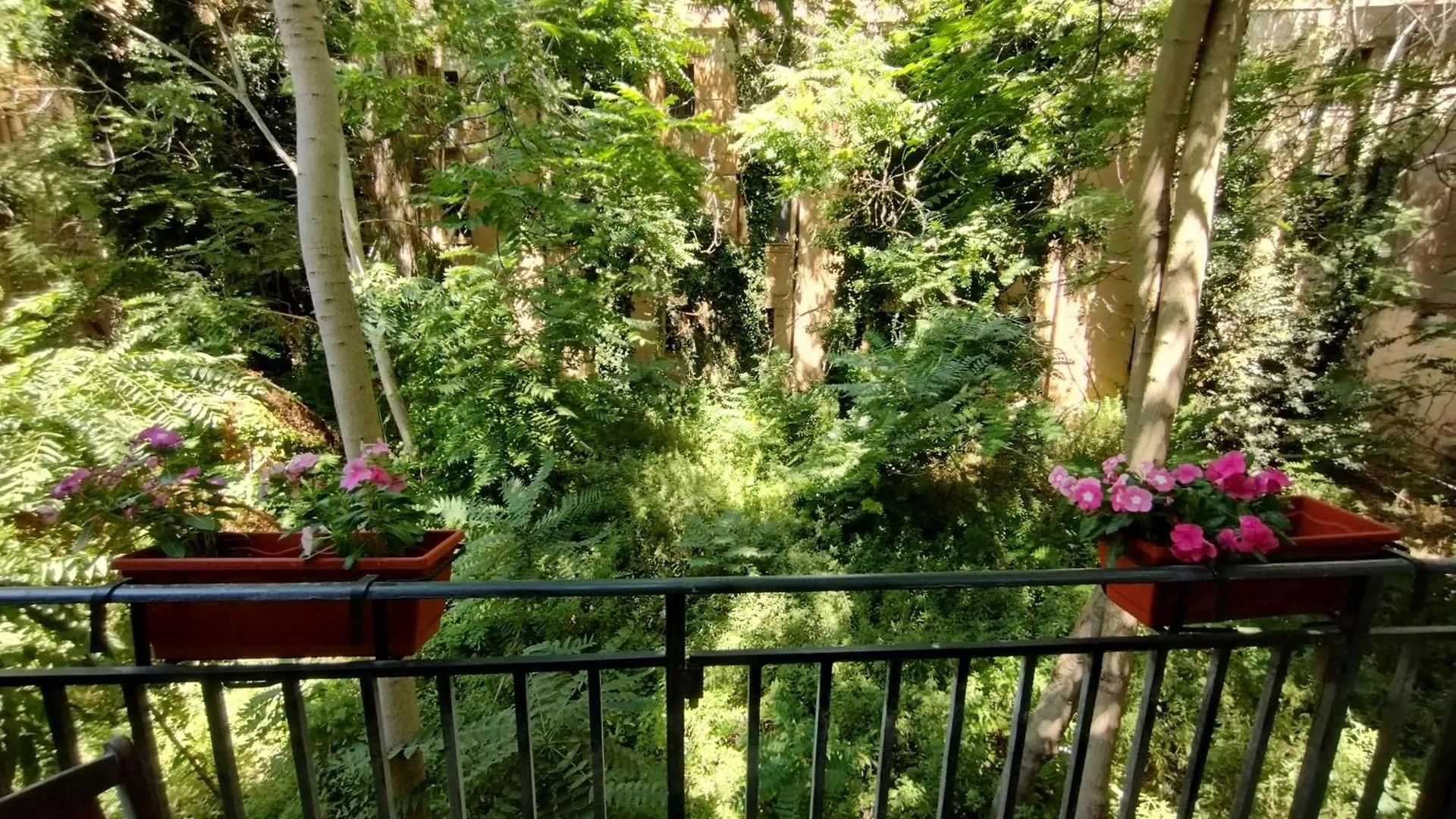 Apartament Domus Vetriera Palermo Włochy